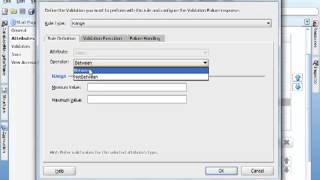 2 4 Business Components fusion Application validation default format JSF