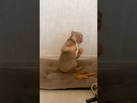 Вуааах 😈