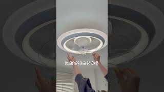 今話題のシーリングファンライト！これなら早く届く！
