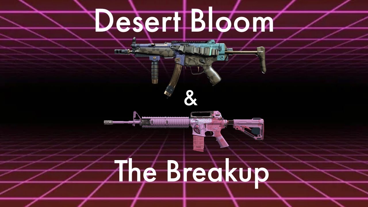 Another WarZone using the M4A1 The Breakup & Mp5 Desert Bloom!