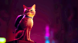 [GMV] Stray | Nightlight