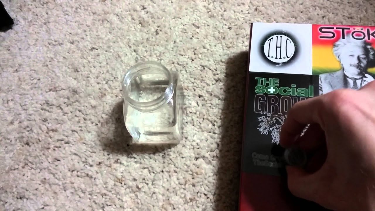 Psygen's Ak47 x Covelo Sour Diesel