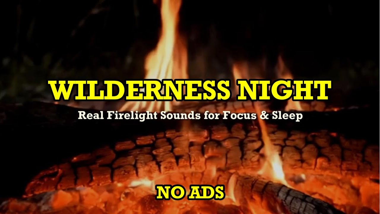 🏕️ Wilderness Ember Camp – Real Firelight Sounds for Focus & Sleep (No Ads)🔥