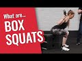 Box Squats // Perfect Variation for Knee Pain, Back Pain &amp; Building Strength