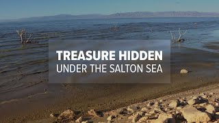 Treasure hidden under the Salton Sea could be inside the next car you buy