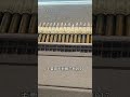 志願軍繳獲美軍的機槍子彈 #志願軍 #軍事武器 #軍事科普