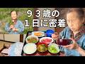 【田舎ひとり暮らし】おばあちゃんの１日に密着｜旬の山菜採り｜健康長寿の秘訣は〇〇