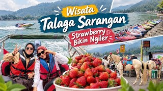 FUN VACATION AT TELAGA SARANGAN! SPEED BOAT RIDE, STUNNING VIEWS & MOUTH-WATERING FRESH STRAWBERRIES