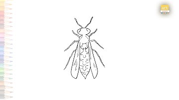 Hornets drawing easy | Wasp drawing videos | How to draw Hornet step by step | #artjanag