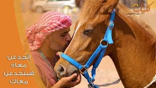 عن جمال الخيل البلدي المصري -  كلبك علي ما تربيه من دهب