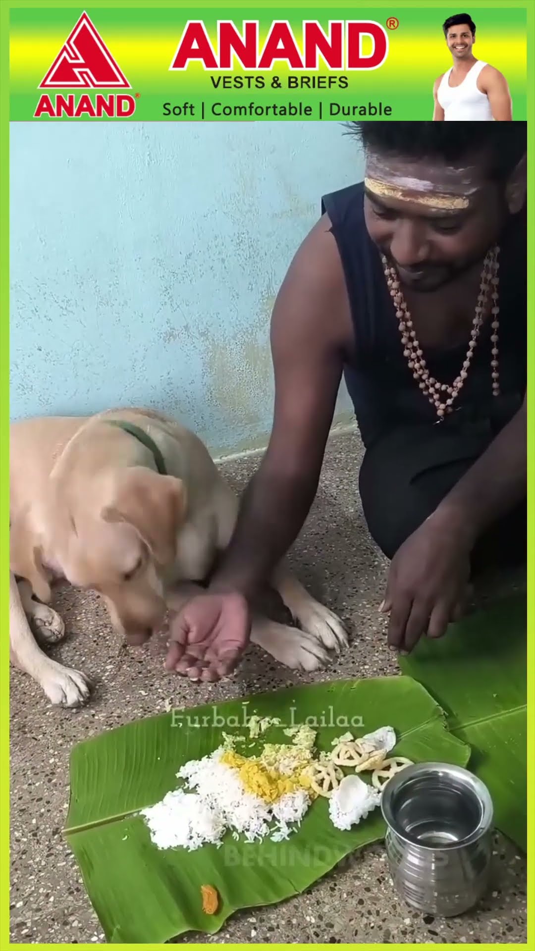 'சாப்பிடு தங்க பொண்ணு..' ❤ நாய்குட்டியை பொண்ணு போல் பாத்துகிட்ட உரிமையாளர்