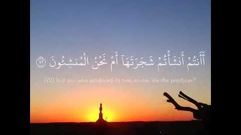 #حالات #واتساب #دينيه تلاوة خاشعة القرأن الكريم بصوت جميل جدا الشيخ محمد اللحيدان