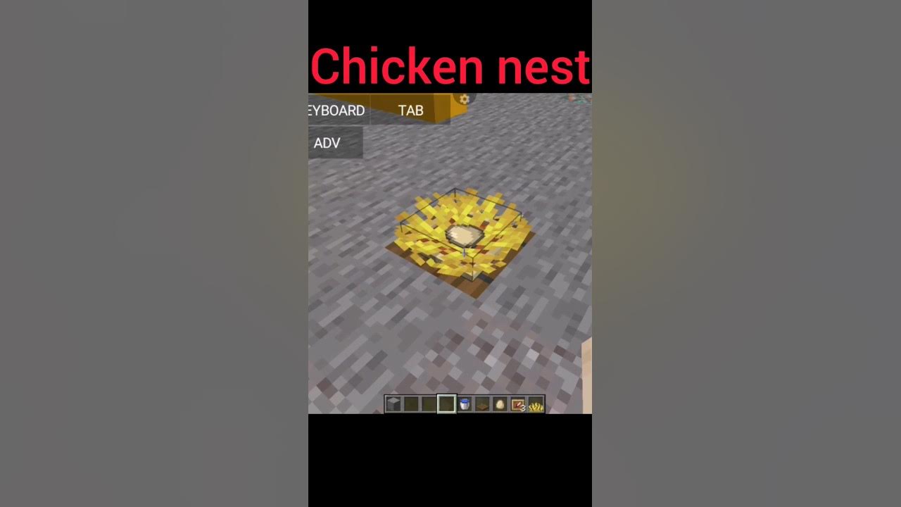 Chicken nest in Minecraft YouTube