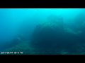 Bautizo de buceo en La Herradura, arrecife La Huerta [2/2]