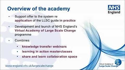 Virtual Academy of Large Scale Change induction