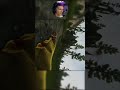 EFT - Scav Speed Run  #escapefromtarkov