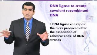 BIO732 Topic027