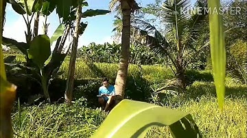 Aku Masih Akan Terus Cinta Dusun Karangsari (Rearrange)
