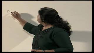 V12 Software Testing for Python