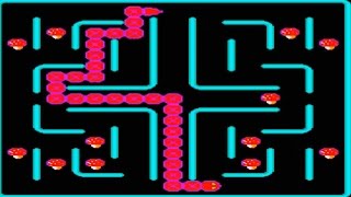 AMIGA SUPER BIACCO BIACO BIACCHO ARCHIVE By Maurizio Facca ~ NIBBLER FROM CD Hottest 6 PDSoft!1996 screenshot 2