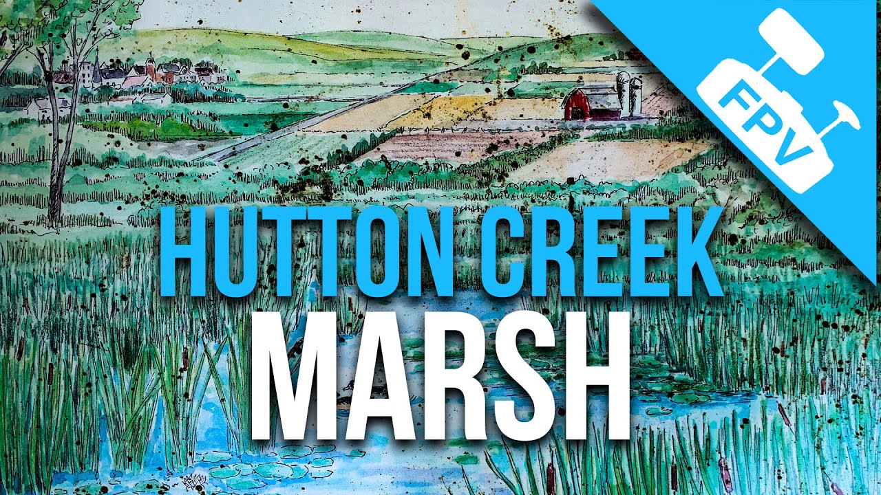 Hutton Creek Marsh At Motts Mills, Ontario by FPV Drone YouTube