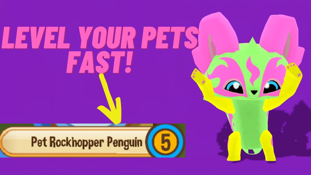 Animal Jam How to Level Up Pets Faster! YouTube