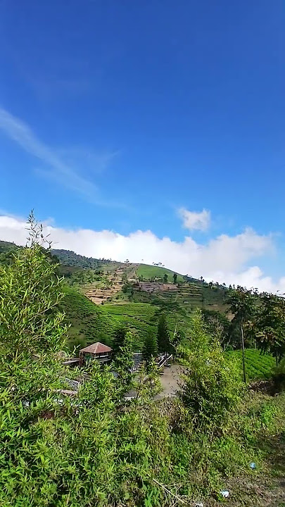 vidio jalan2#video #viral #music #viralvideo #jalan2