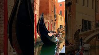 Asala Youssef Dabka دبكة ودبيكة أصالة يوسف Resimi