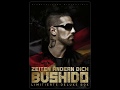 Bushido - Ich lass dich gehen