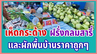 EP.2 #ตลาดอาหารพื้นบ้านอิสาน #ฝรั่งกลมสารี่ #เห็ดกระด้าง ที่#ตลาดนัดเช้าวันอาทิตย์อำเภอกุฉินารายณ์