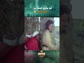 عنتر فارس الصحراء لما يكون الحب من طرف واحد عنتر فارس الصحراء لما يكون الحب من طرف واحد