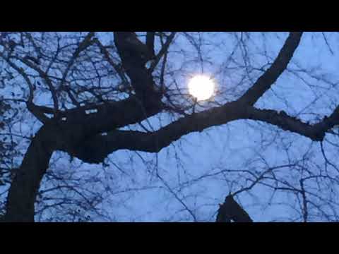 My Movie  ყოველდღიური ლოცვები , ლოცვა ძილის წინ, პარასკევს