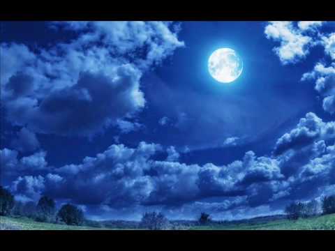 ال عمران الشيخ محمد محمود الطبلاوي الاردن 