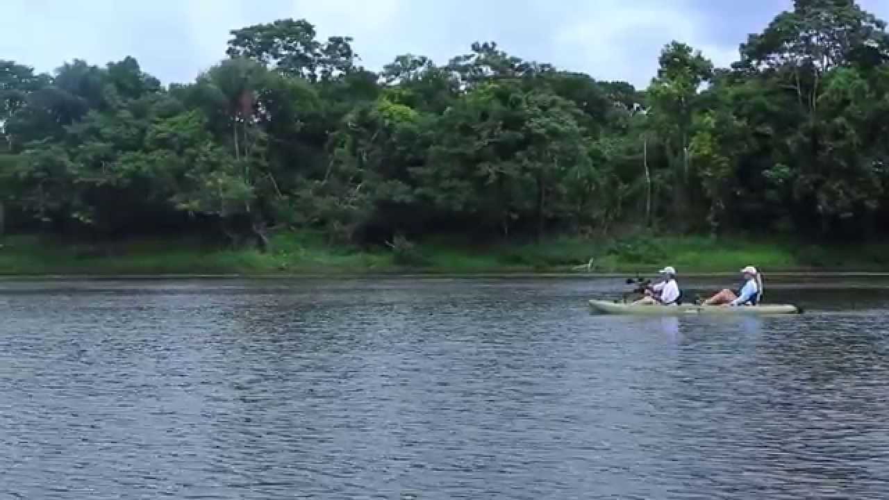 The Hobie Experience with Rick Rosenthal - Amazon