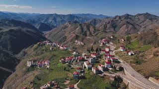 Tevekli Mahallesi (Güce / Gi̇resun)