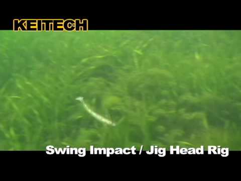 Swing Impact / Jig Head