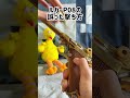 ルガーP08の正しい撃ち方 #モデルガン #toygun