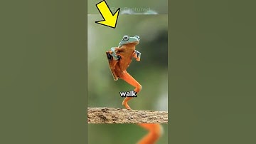 Incredible Rare Photos That Will Leave You Speechless With Their Surprisingly Real Moments | 94