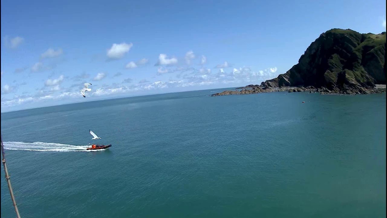 Sea Safari Wiv Music Ilfracombe YouTube sea-safari-wiv-music-ilfracombe-youtube