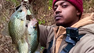 2Hours | Quick Deer Hunting Break