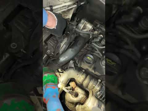 Peugeot expert порвал