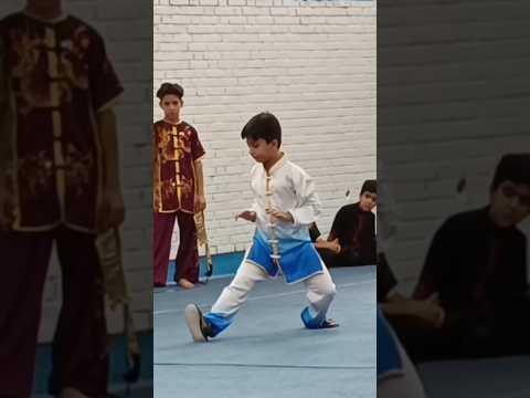 کانال آموزشی ووشو تایچی