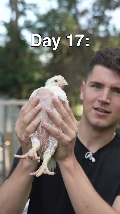 I Raised A Chicken, Then Cooked It
