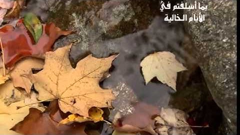 تلاوة من سورة الحاقة | الشيخ عبدالعزيز بن سالم الزهراني