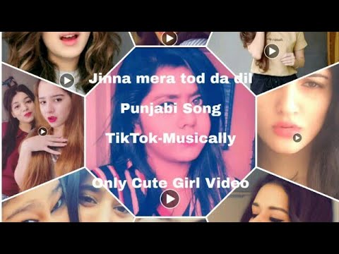 Tiktok Jinna mera tod da dil - Punjabi song