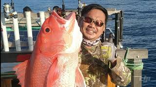 Strike  Monster Ruby Snapper & Dogtooth bertubi-tubi di perairan Biduk biduk, Berau, Kal-Tim