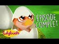 Lilybuds | Attention aux Œufs 🌼 Épisode 7 🌼 ZeeKay Junior Français