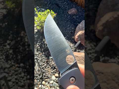 Spyderco September: Slysz Bowie in M390