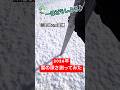 【2026】雪どのぐらい積もったのか測ってみた【北海道】【IRIS OUT / 米津玄師】【歌ってみた】