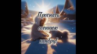 С добрым утром!